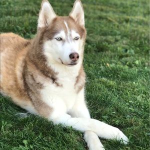 Meet your Posher, Christy